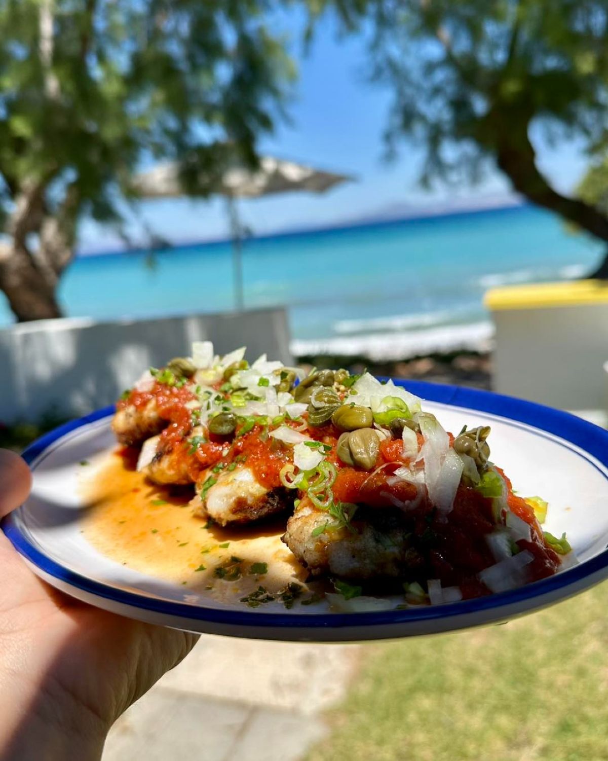 Μπιφτέκια Σουπιάς με σάλτσα φρέσκιας ντομάτας, φρέσκο κρεμμυδάκι και κάπαρη