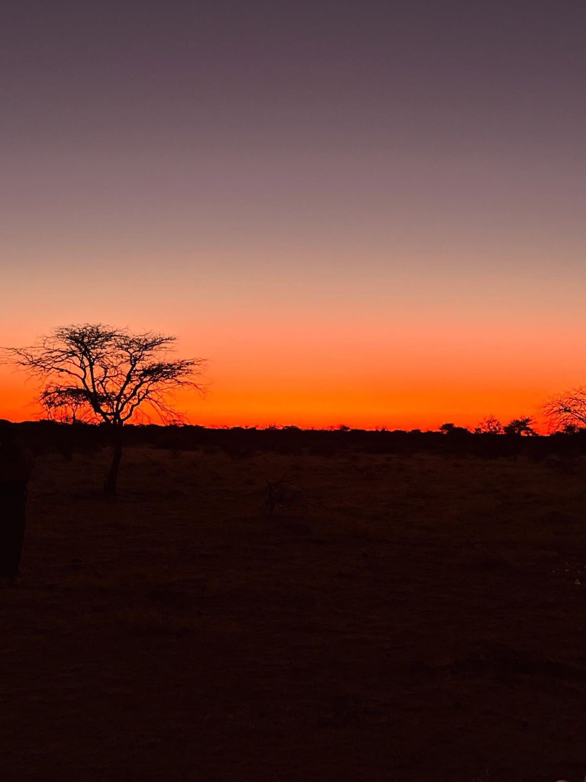 Μουτσινάς: Ταξίδι στην Αφρική μετά τις κοινές διακοπές με τη Μακρυπούλια - Το πρόσωπο που βρίσκεται μαζί του