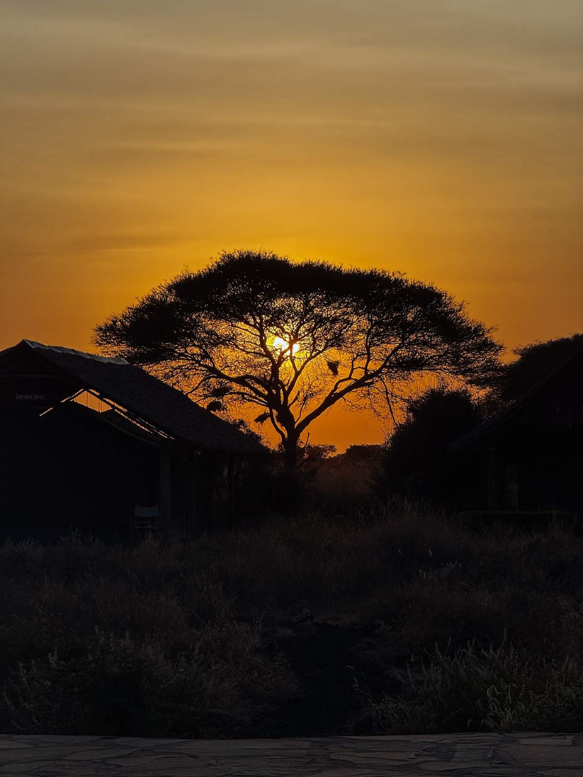 Οικονομάκου - Τσερέλα: Συνεχίζουν τις διακοπές τους στην Αφρική – Οι πόζες με μαγιό σε εντυπωσιακή πισίνα