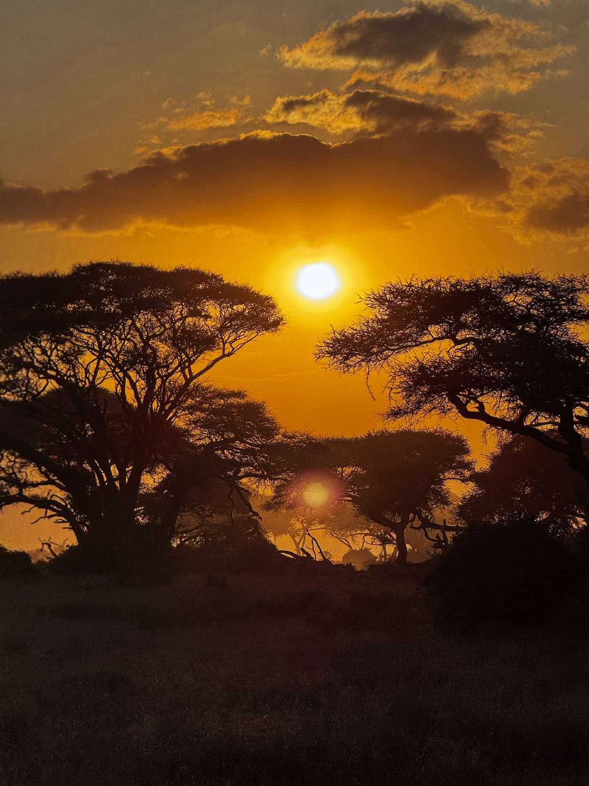 Οικονομάκου - Τσερέλα: Συνεχίζουν τις διακοπές τους στην Αφρική – Οι πόζες με μαγιό σε εντυπωσιακή πισίνα