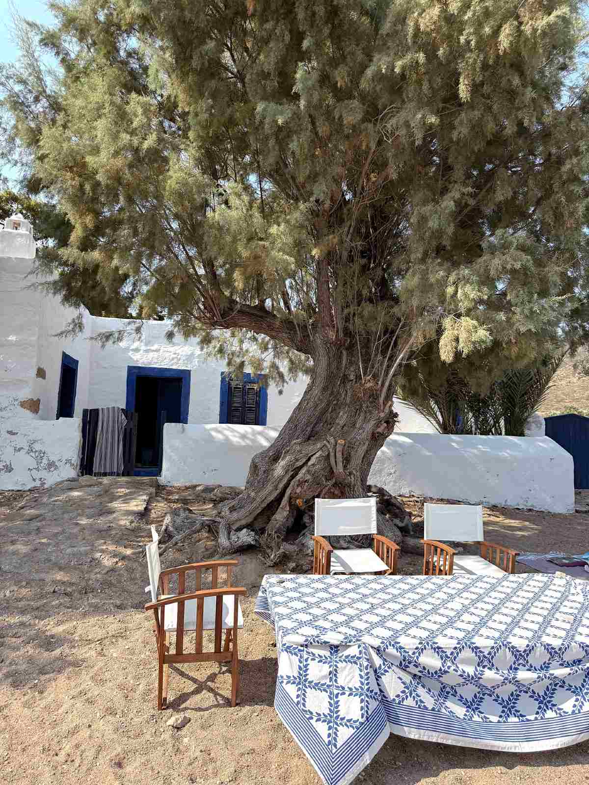 Η Ηλιάνα Παπαγεωργίου στην Πάτμο