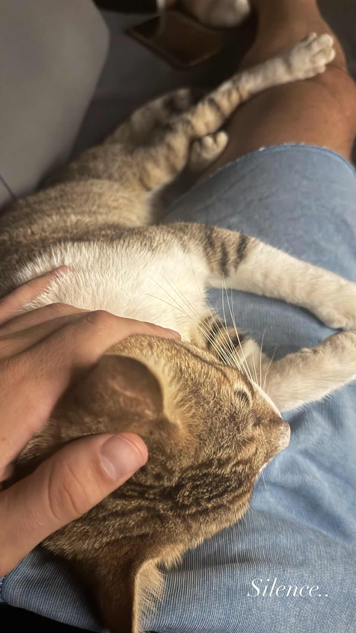 Ο Στάθης Σχίζας στον Άγιο Δομίνικο