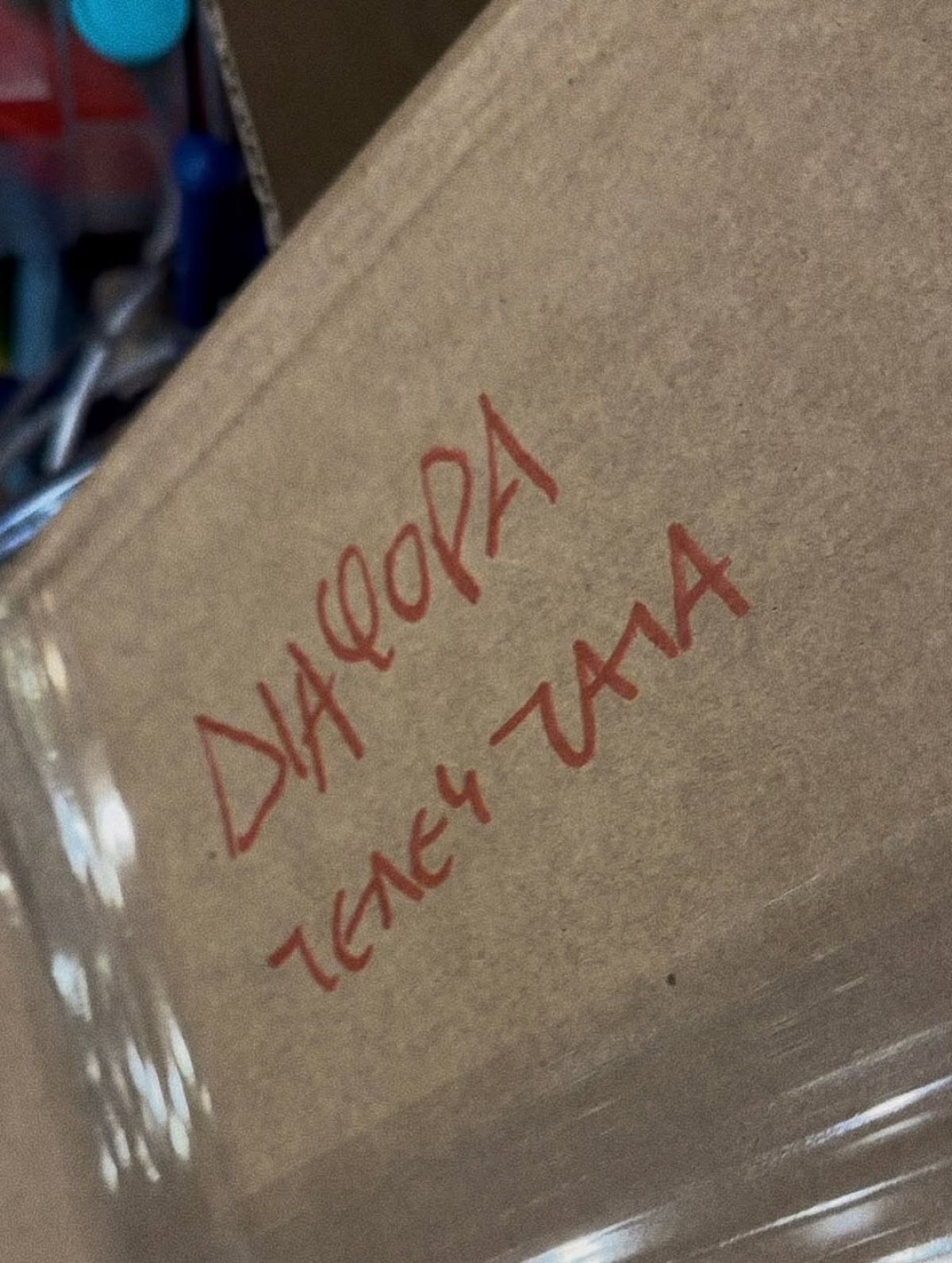 Κούτα της Μαίρης Συνατσάκη