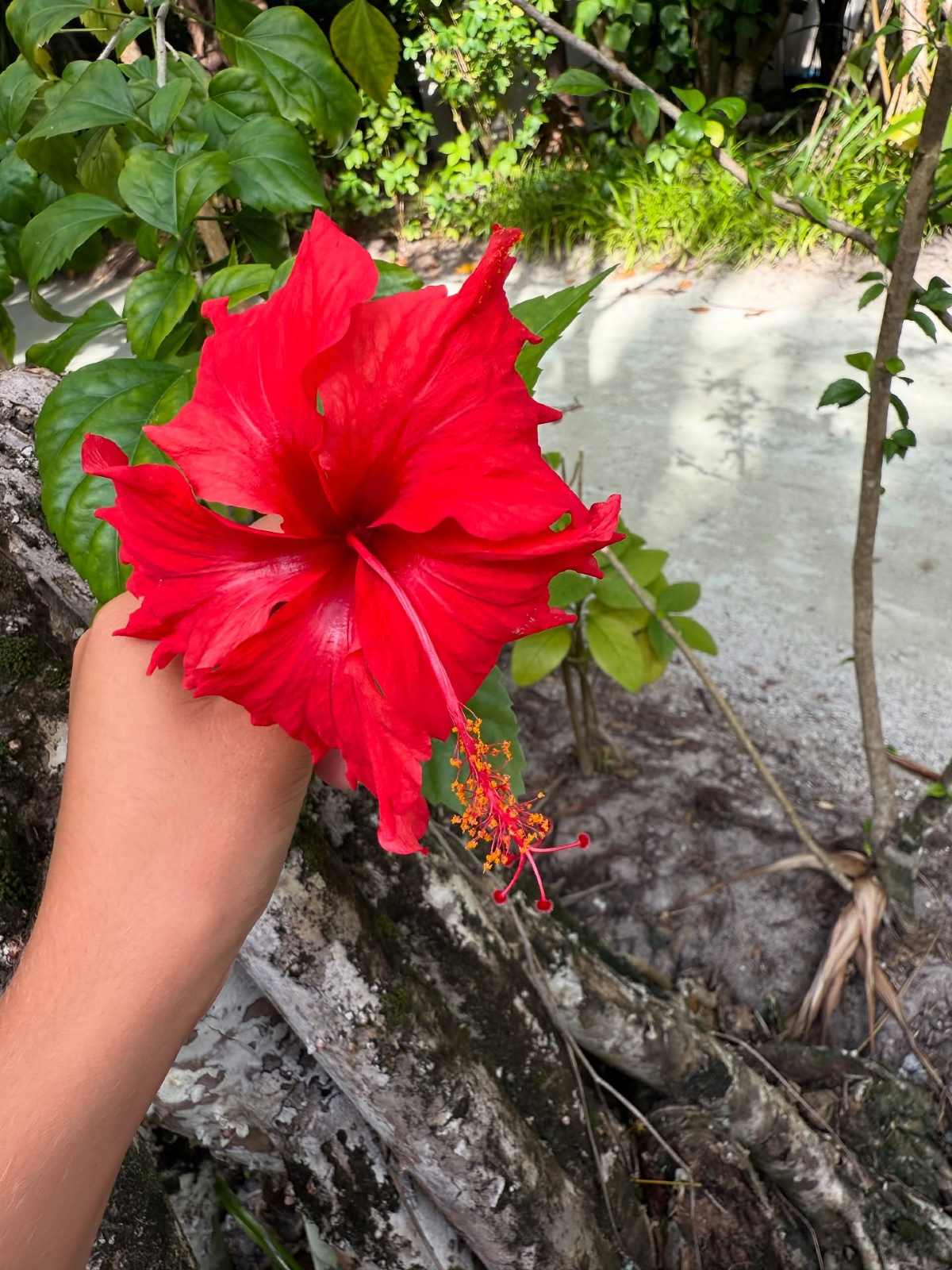 Τσιμτσιλή: Αποχαιρετά τον Αύγουστο - «Μοιράζομαι μαζί σας μερικές όμορφες στιγμές του!»