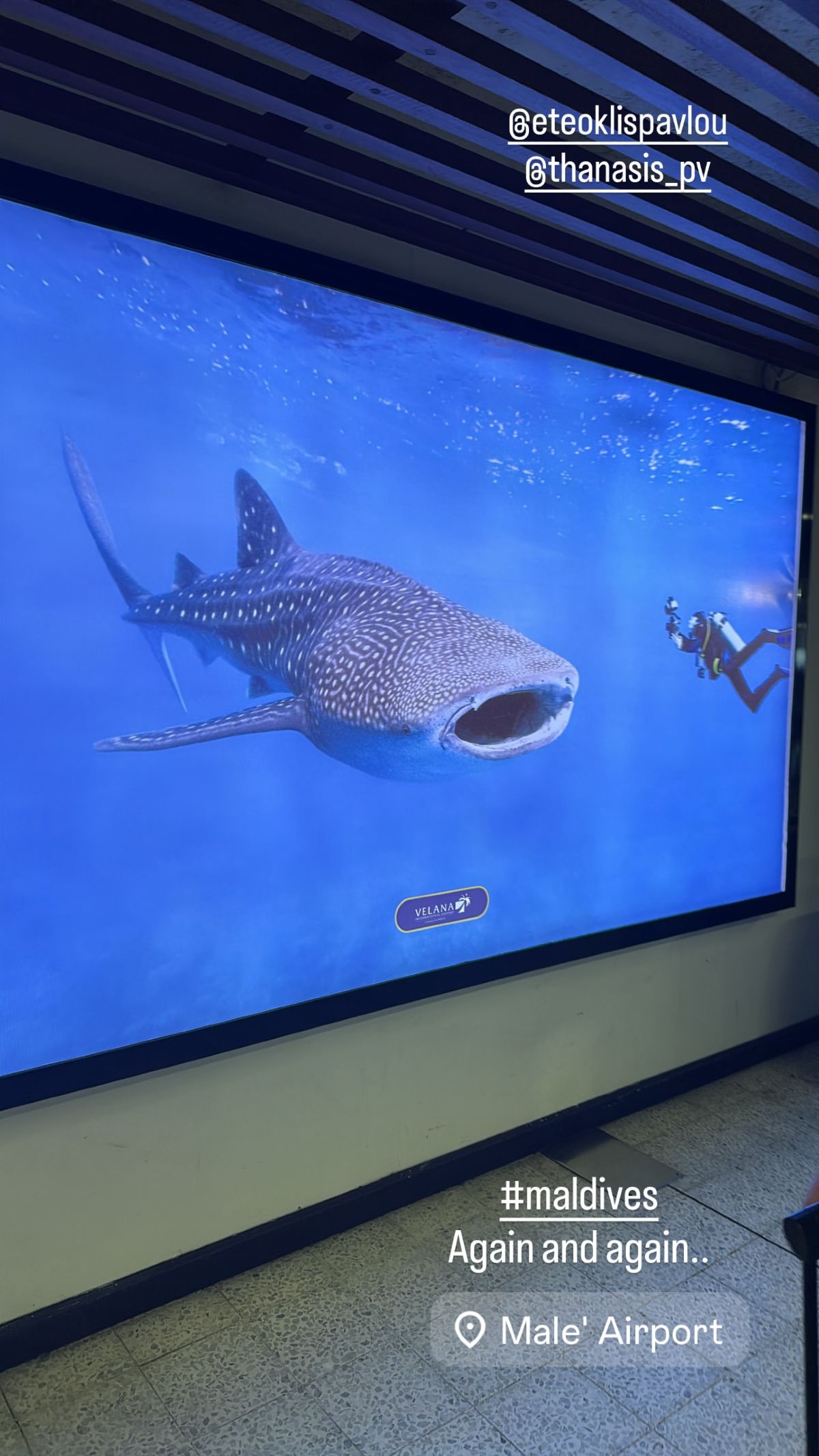 Η ανάρτηση της Ελένης Χατζίδου για τις Μαλδίβες