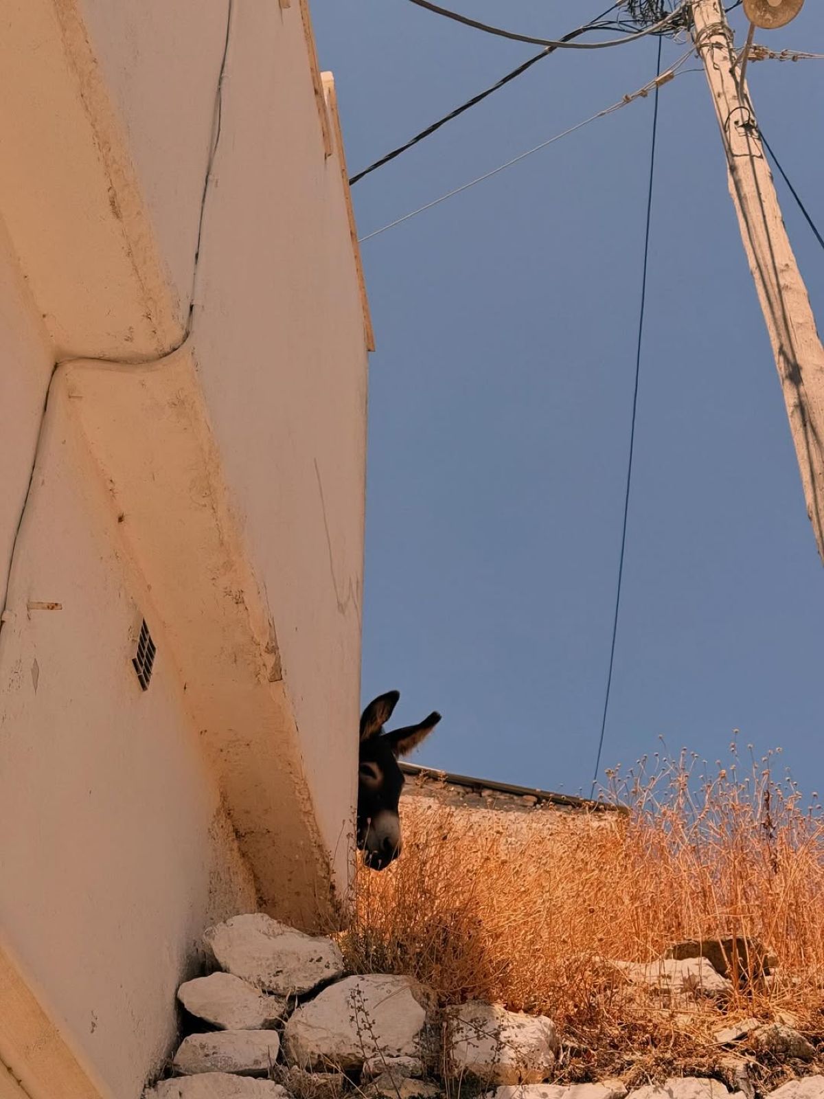 Η Χρύσα Μιχαλοπούλου με τον γιο της στο Instagram