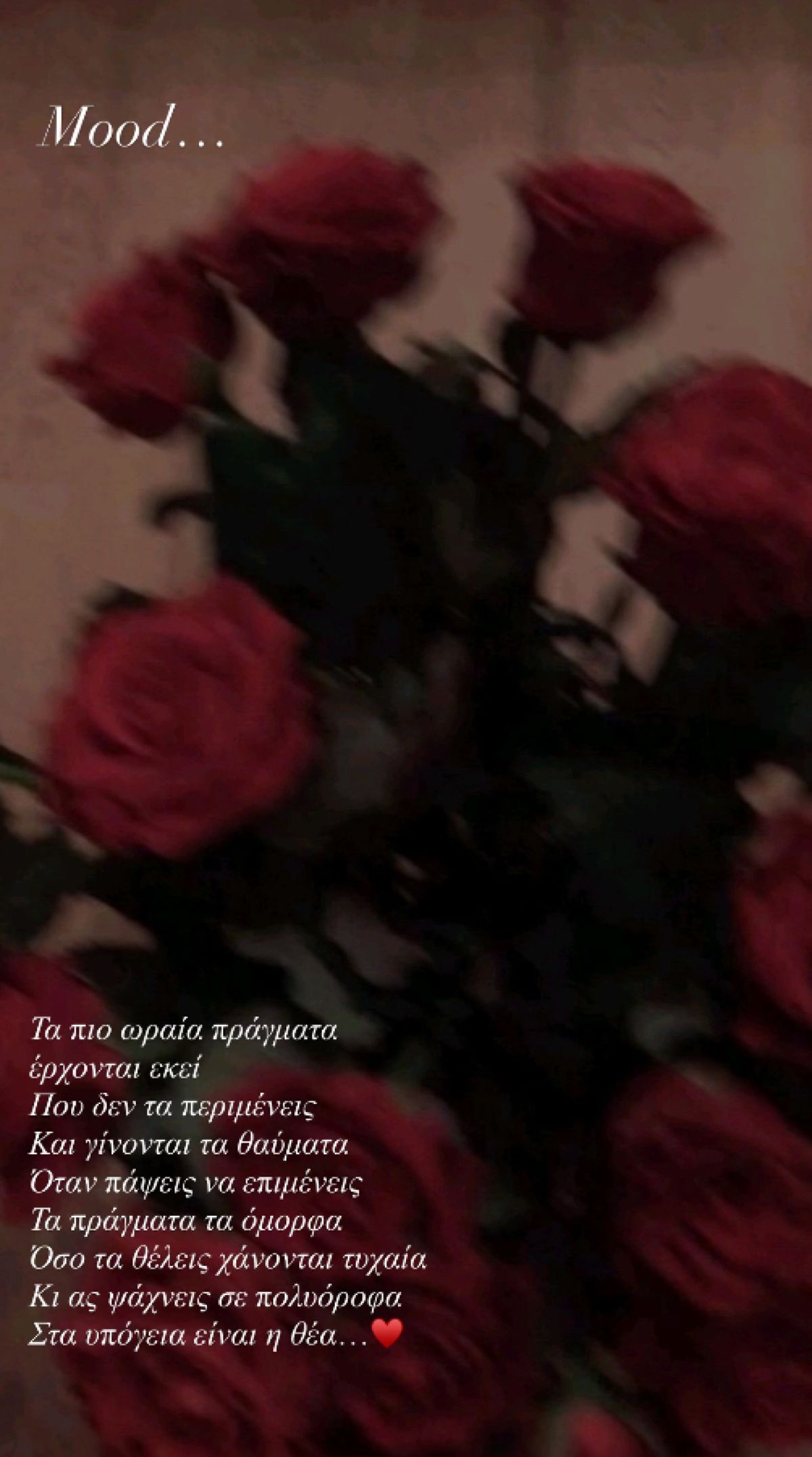 Κατερίνα Καινούργιου story