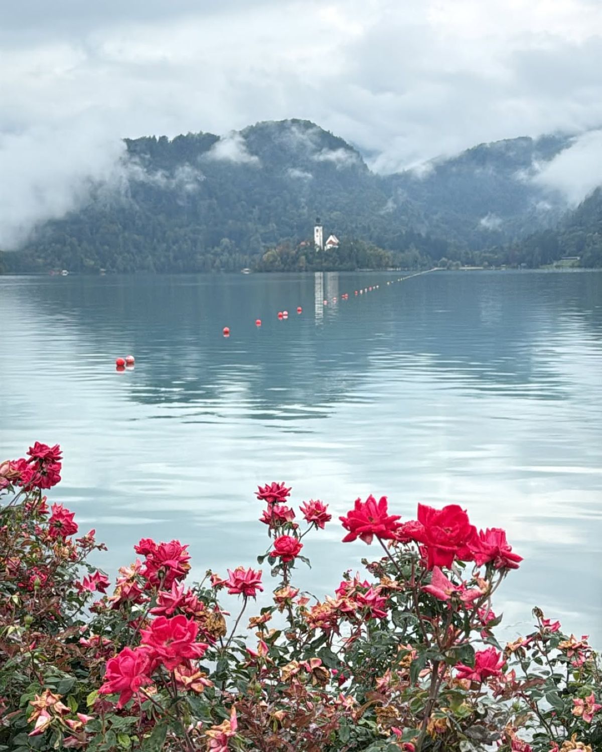 Η Δανάη Βαρθολομάτου στο Instagram