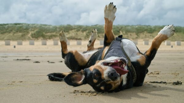 Εορτολόγιο