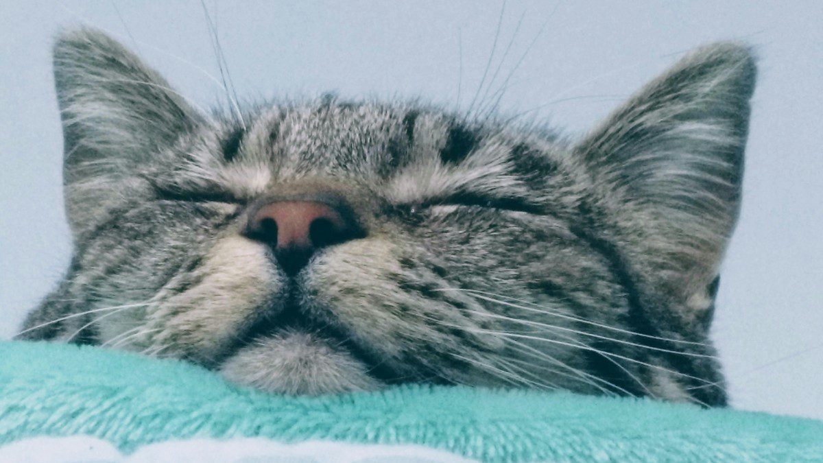 Εορτολόγιο