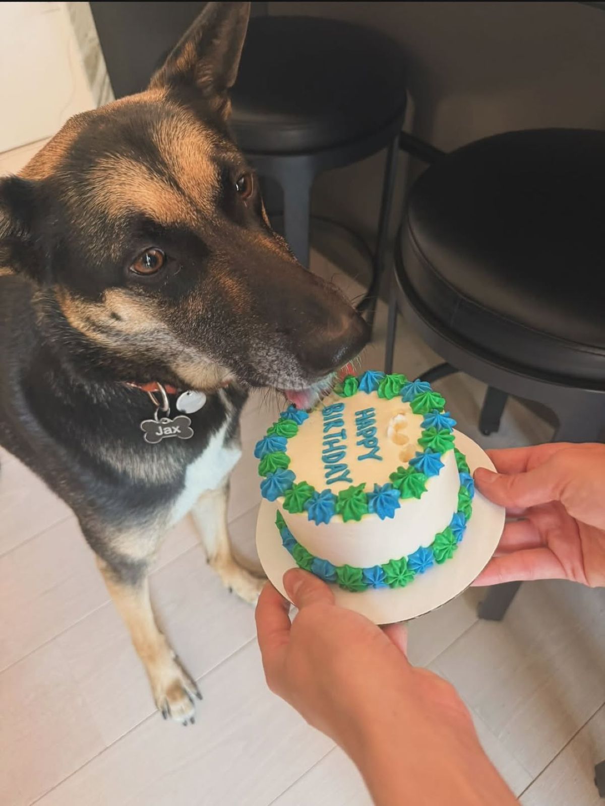 Τζένη Μπαλατσινού: Φωτογραφίες από το ταξίδι της στο Τέξας με την Αμαλία Κωστοπούλου