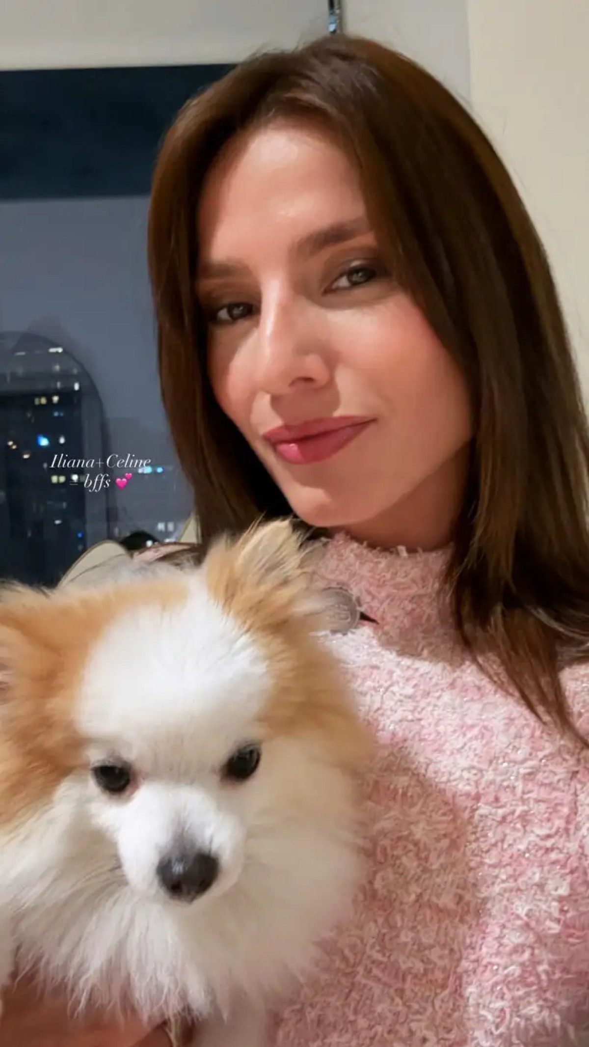 Η Ηλιάνα Παπαγεωργίου και ένας σκύλος