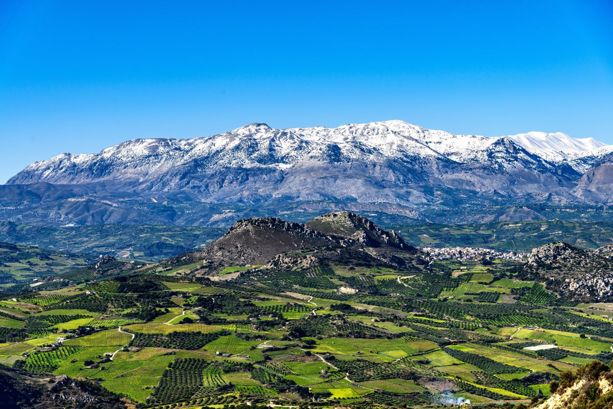 Ψηλορείτης