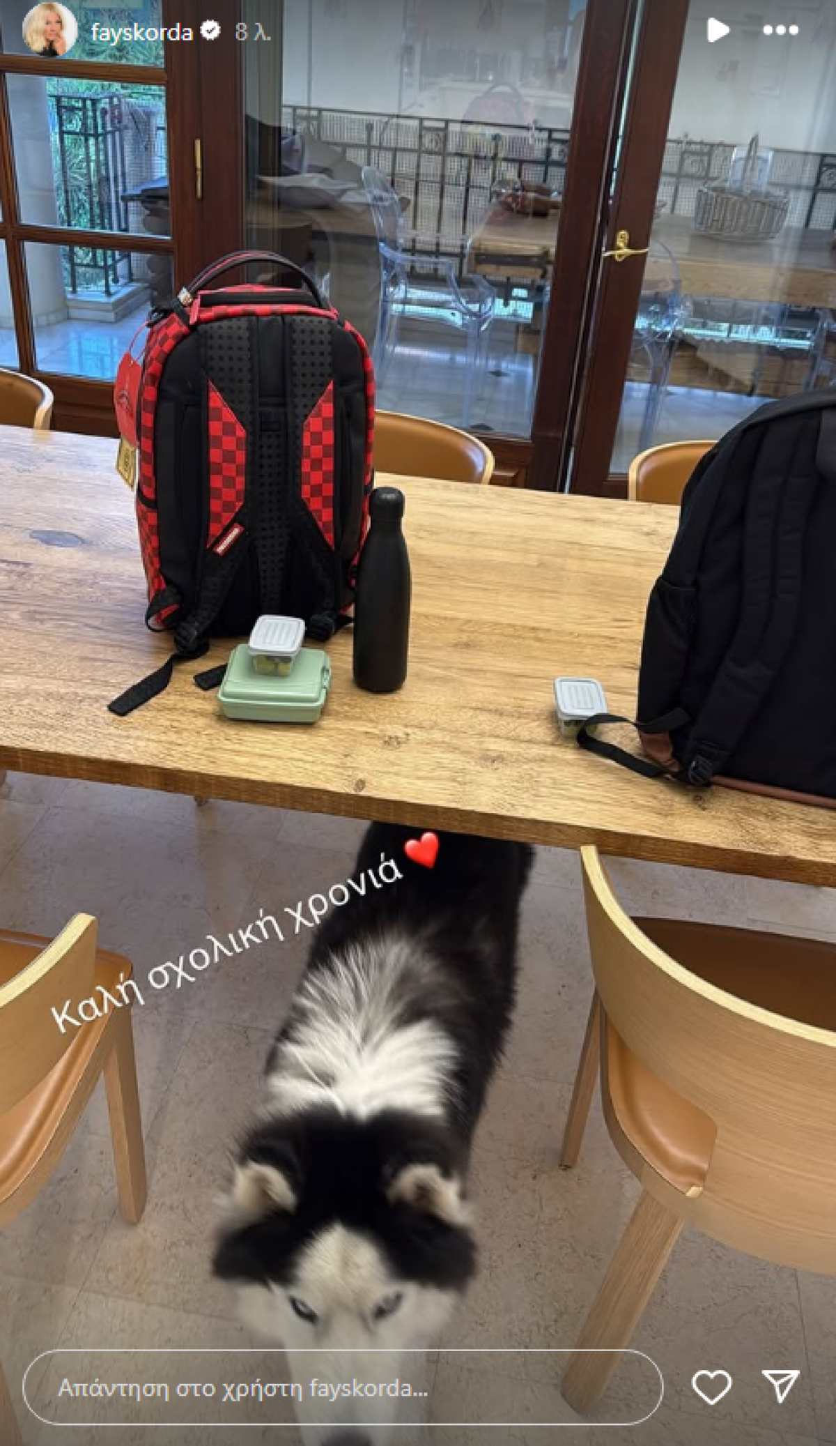 Η φωτογραφία της Φαίης Σκορδά με τις σάκες των παιδιών της