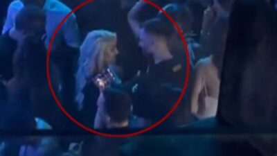 Τούνη σύντροφος