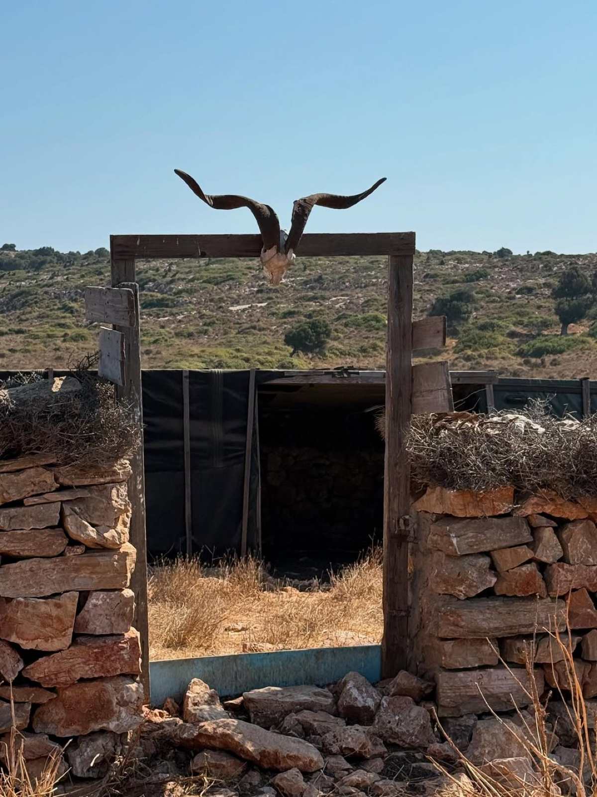 Η Ζέτα Μακρυπούλια στο Instagram