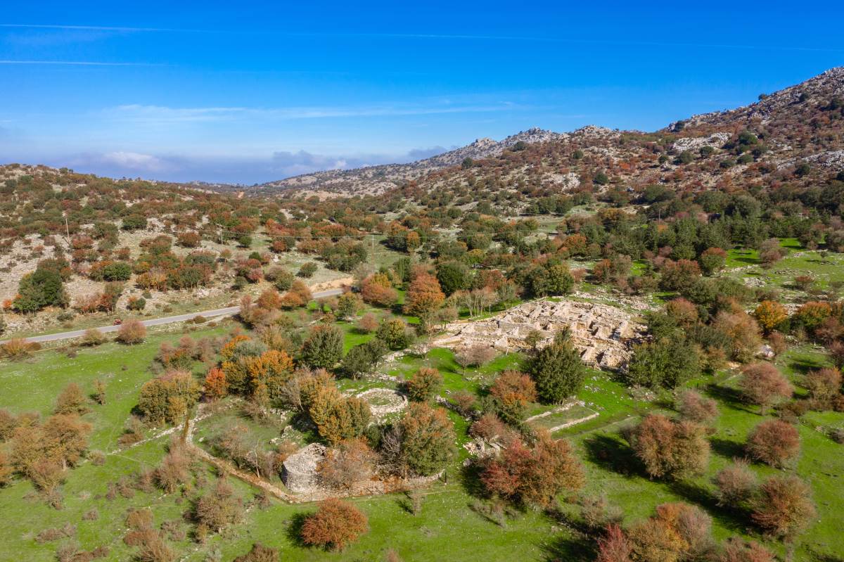 Ζώμινθος Ψηλορείτης