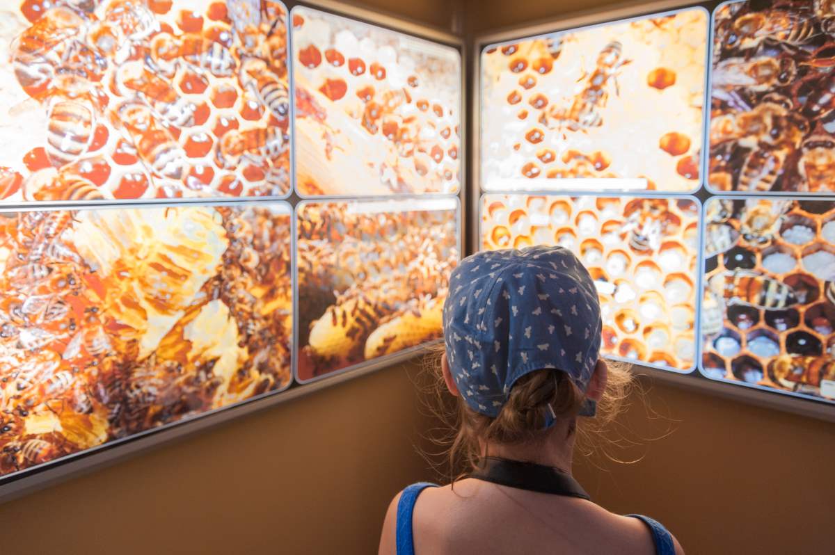 μουσείο μέλισσας ρόδος