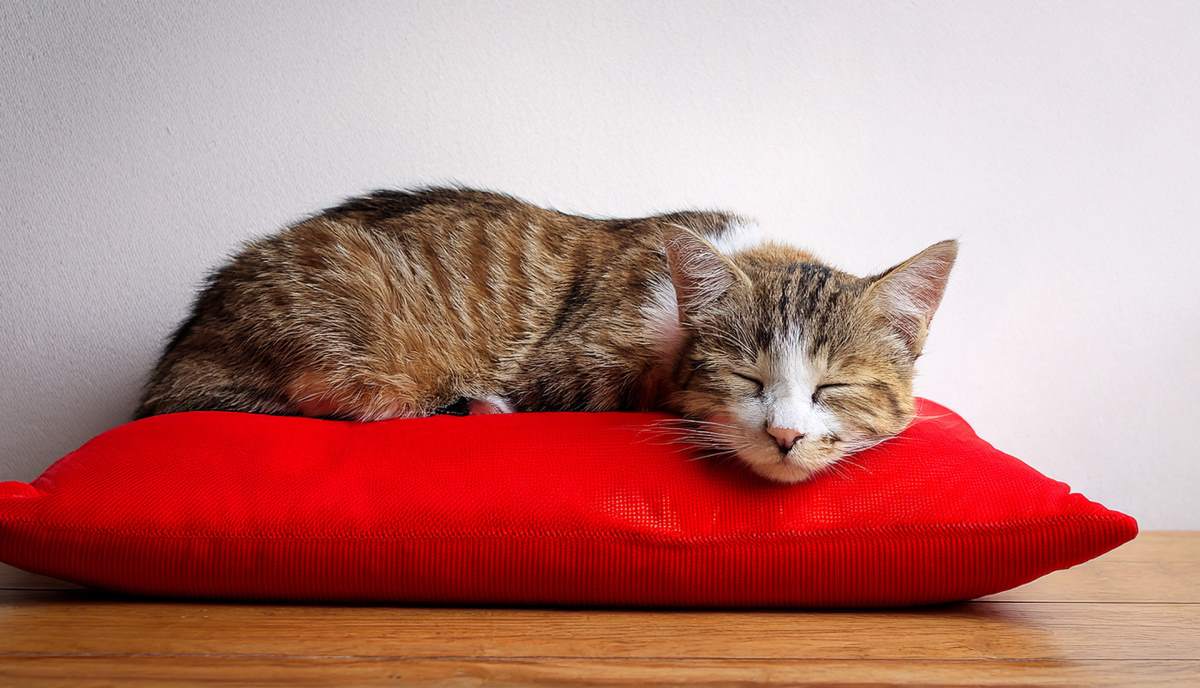 inventor αφυγραντήρας