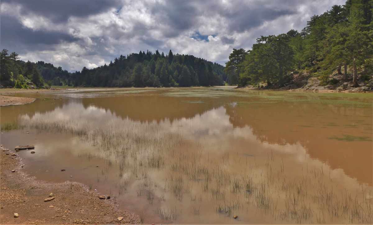 Λίμνη Δασίου