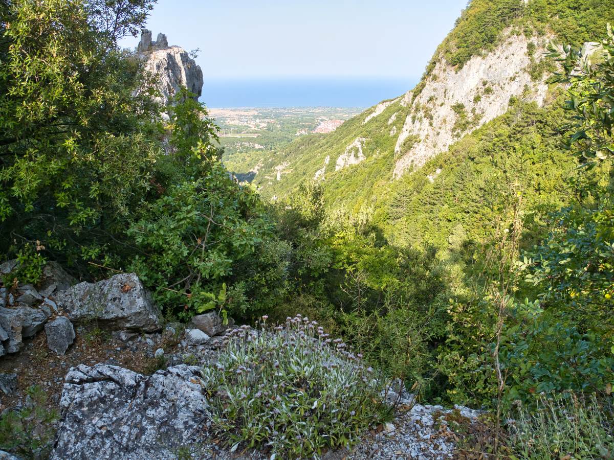 Φαράγγι Ενιπέας
