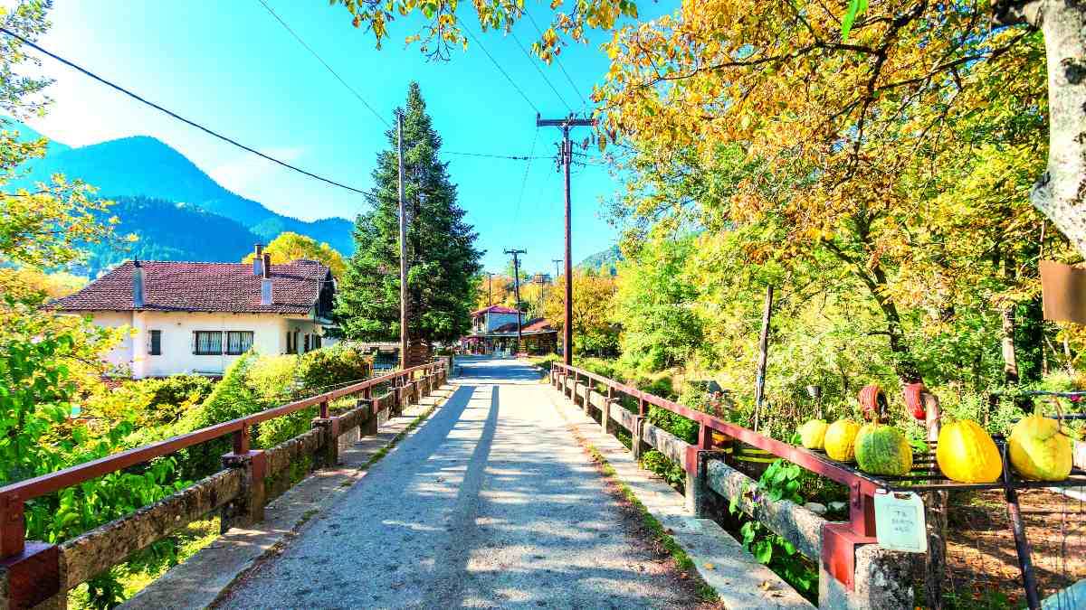 γαύρος ευρυτανίας