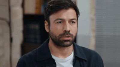 Η γη της ελιάς Στέφανος