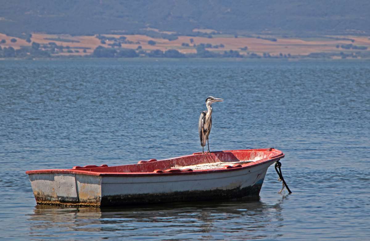 Λίμνη Βόλβη