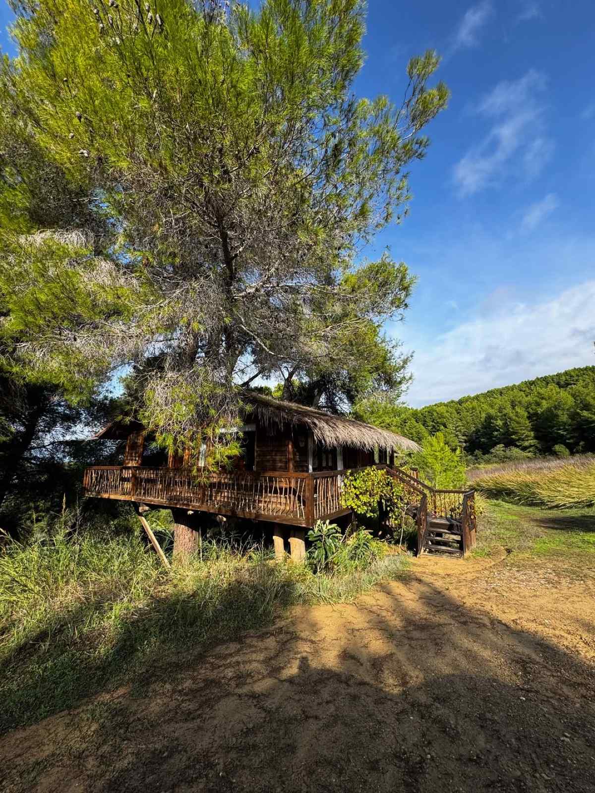 Ένα δεντρόσπιτο