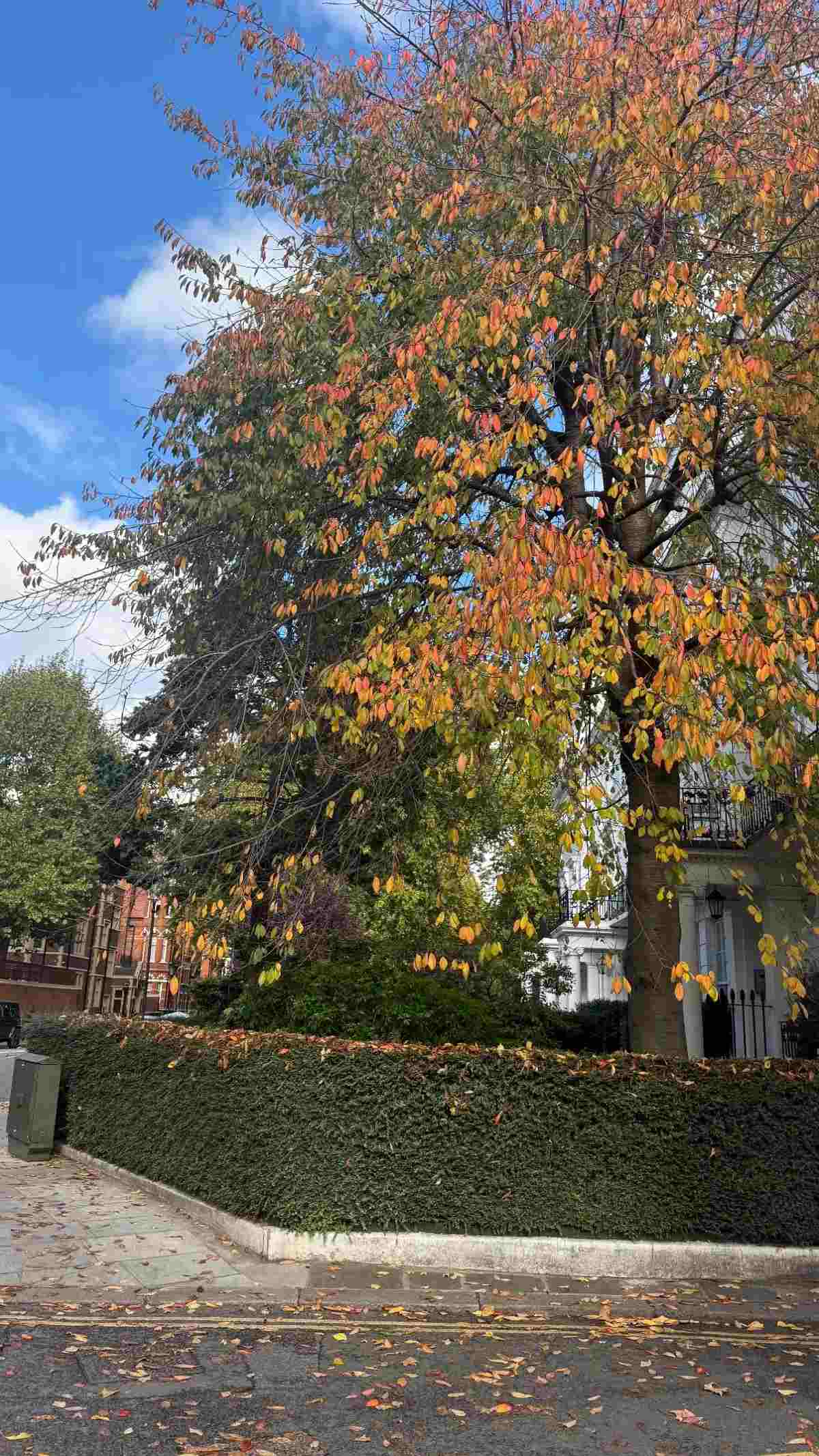 Η ανάρτηση της Μελίνας Νικολαΐδη