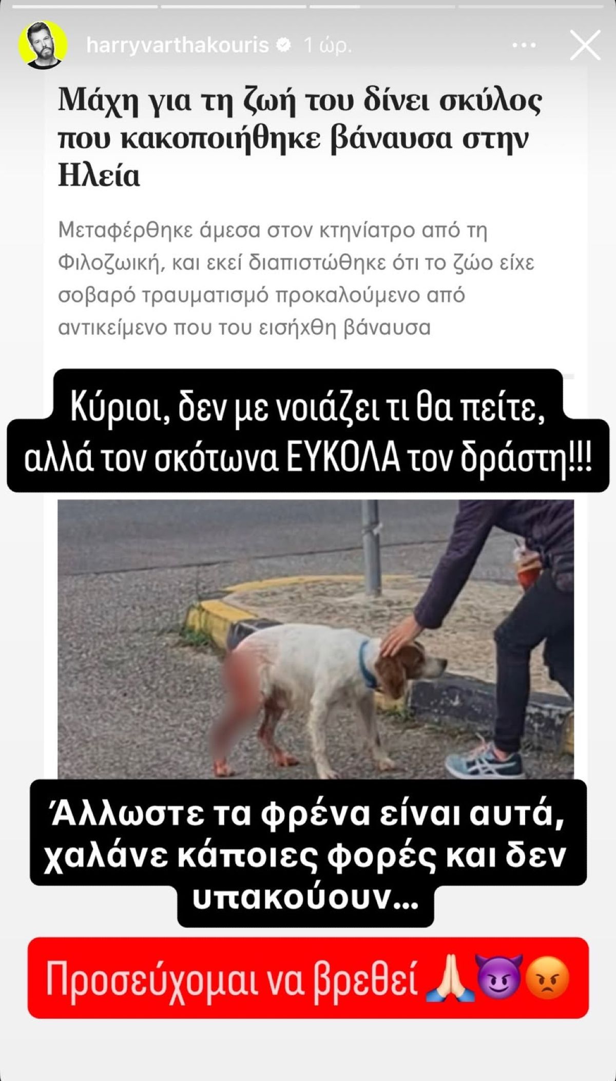 Η ανάρτηση του Χάρη Βαρθακούρης για την κακοποίηση σκύλου στην Ηλεία