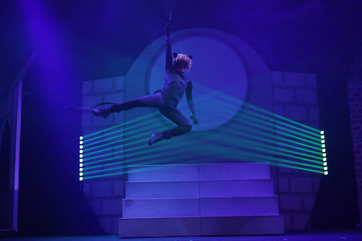 Miraculous: Ιστορίες των Ladybug & Cat Noir