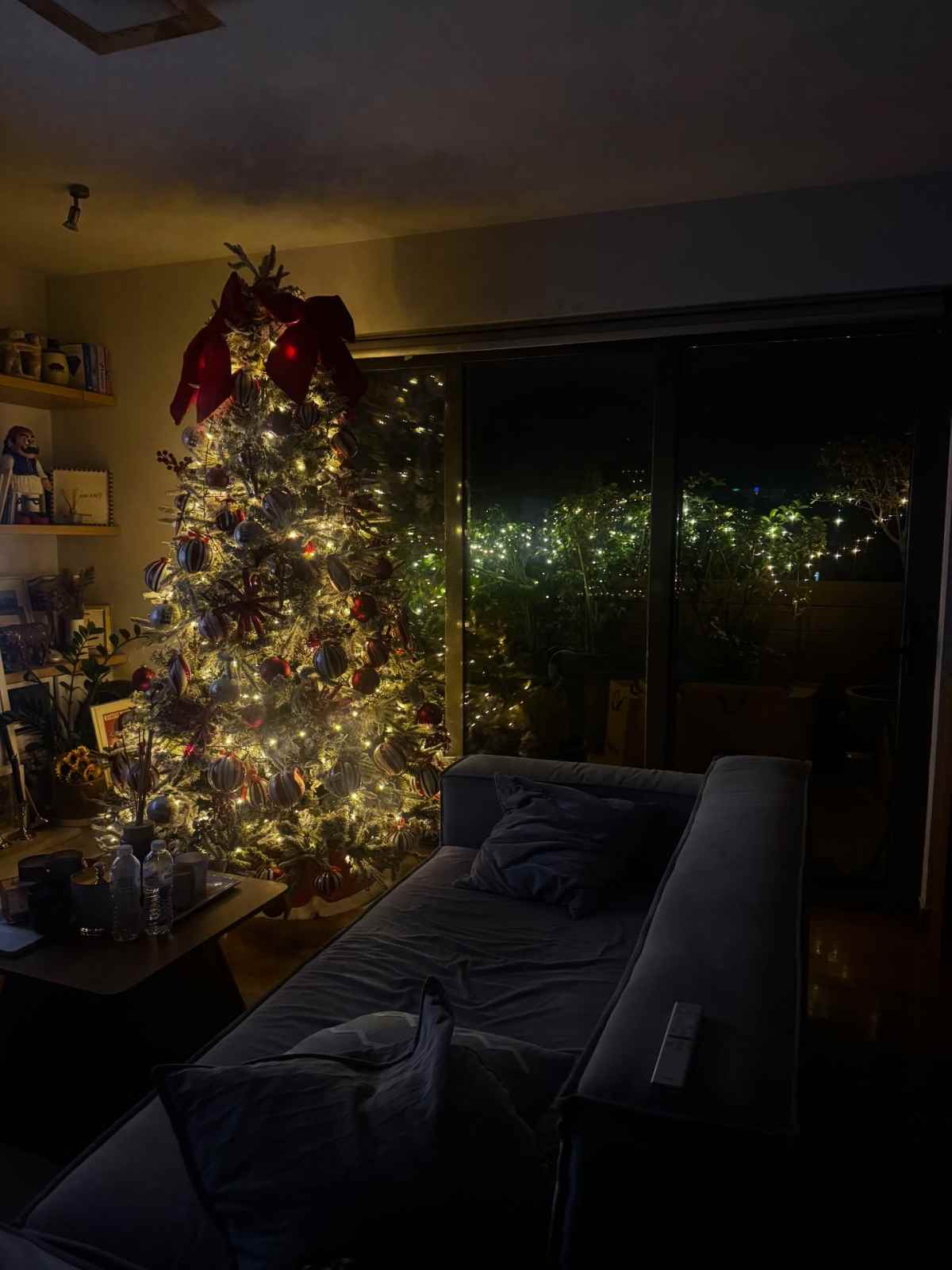 Μπάρκα: Στόλισε το σπίτι της - Η βαφτισιμιά της ανέβηκε στην κορυφή του δέντρου (Φωτογραφίες)