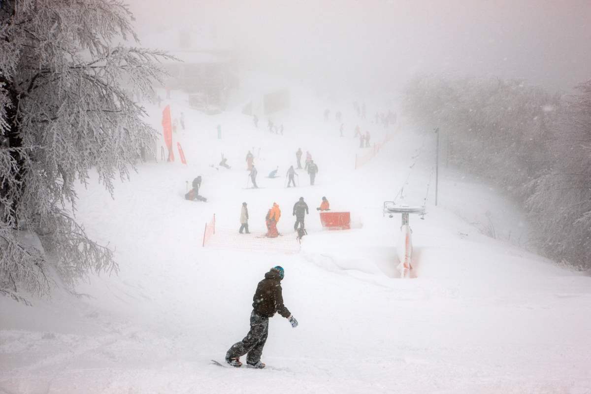 χιονοδρομικό Αγριόλευκες πήλιο