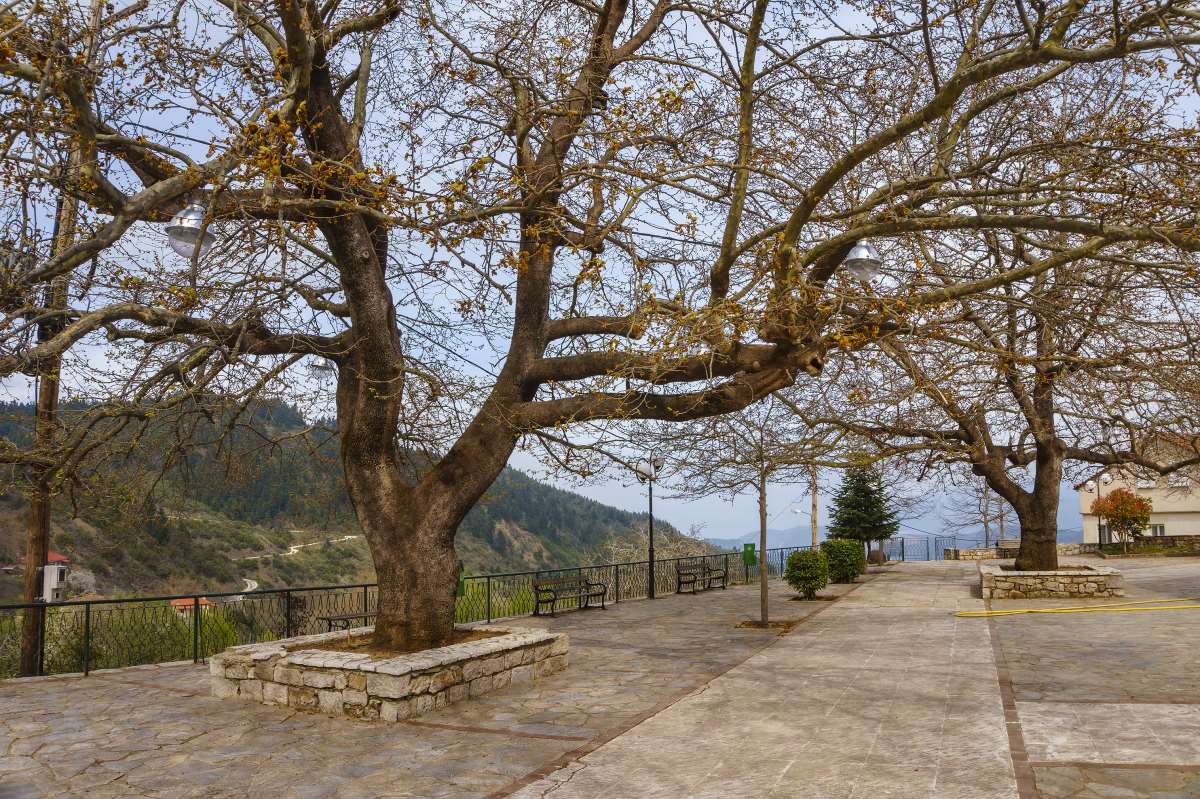 άνω παύλιανη