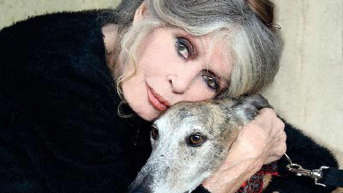 Η Μπριντζίτ Μπαρνό στο Twitter