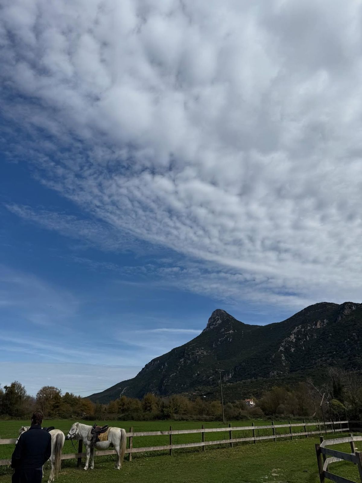 Η Ελένη Μενεγάκη στο Instagram