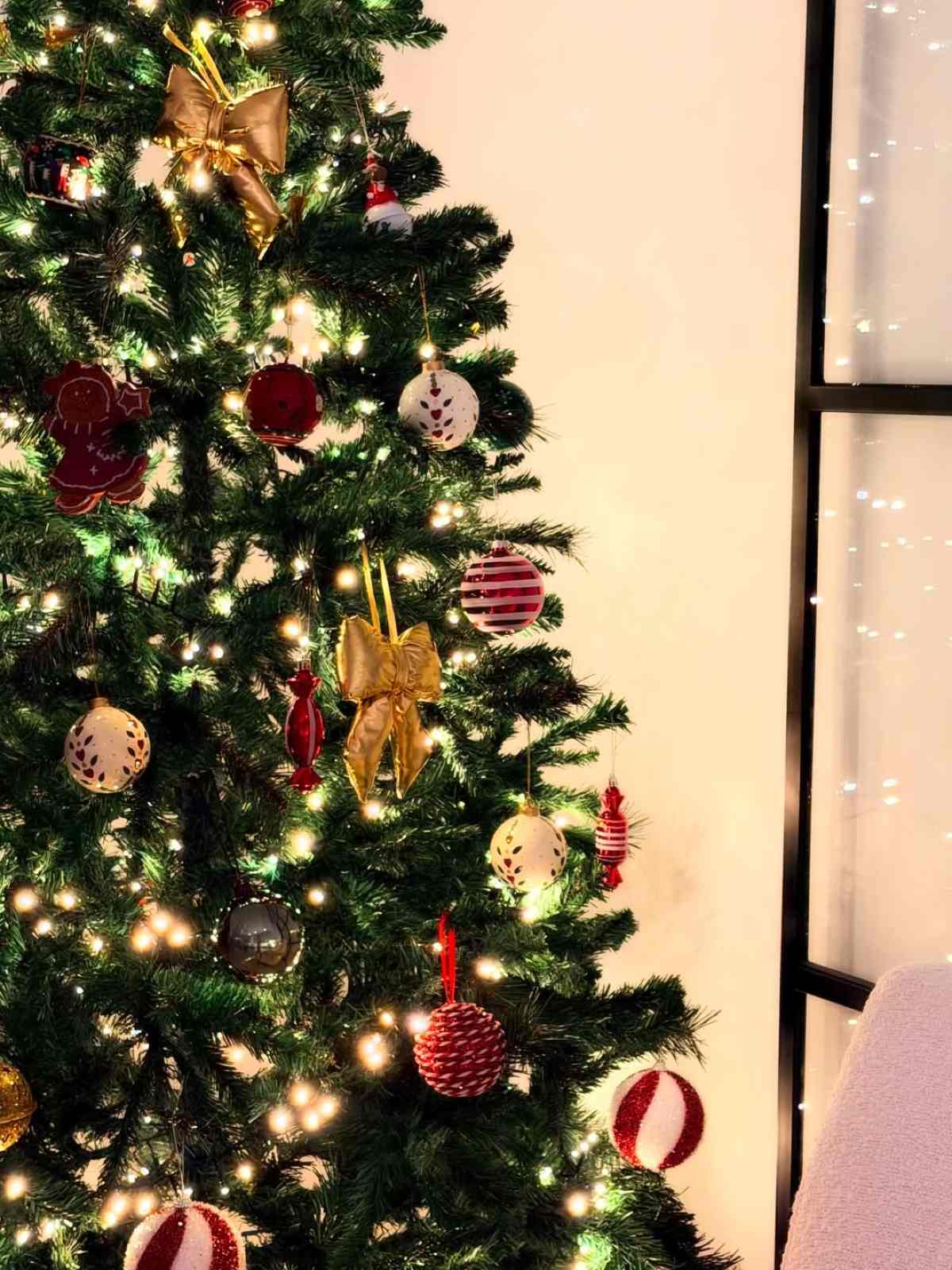 Η Ελένη Βουλγαράκη και ο Φώτης Ιωαννίδης στη Λισαβόνα