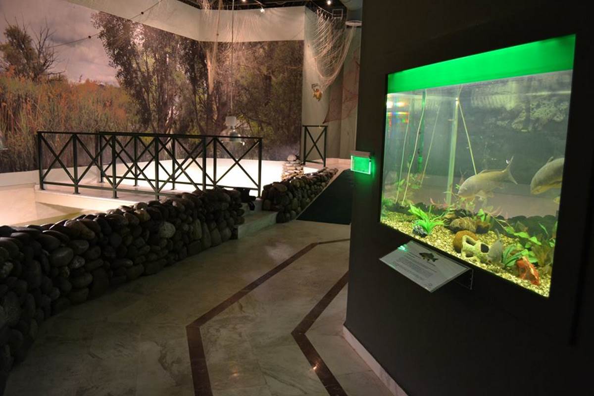 Ενυδρείο Καστοριά