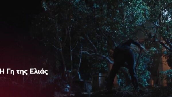 Η γη της ελιάς