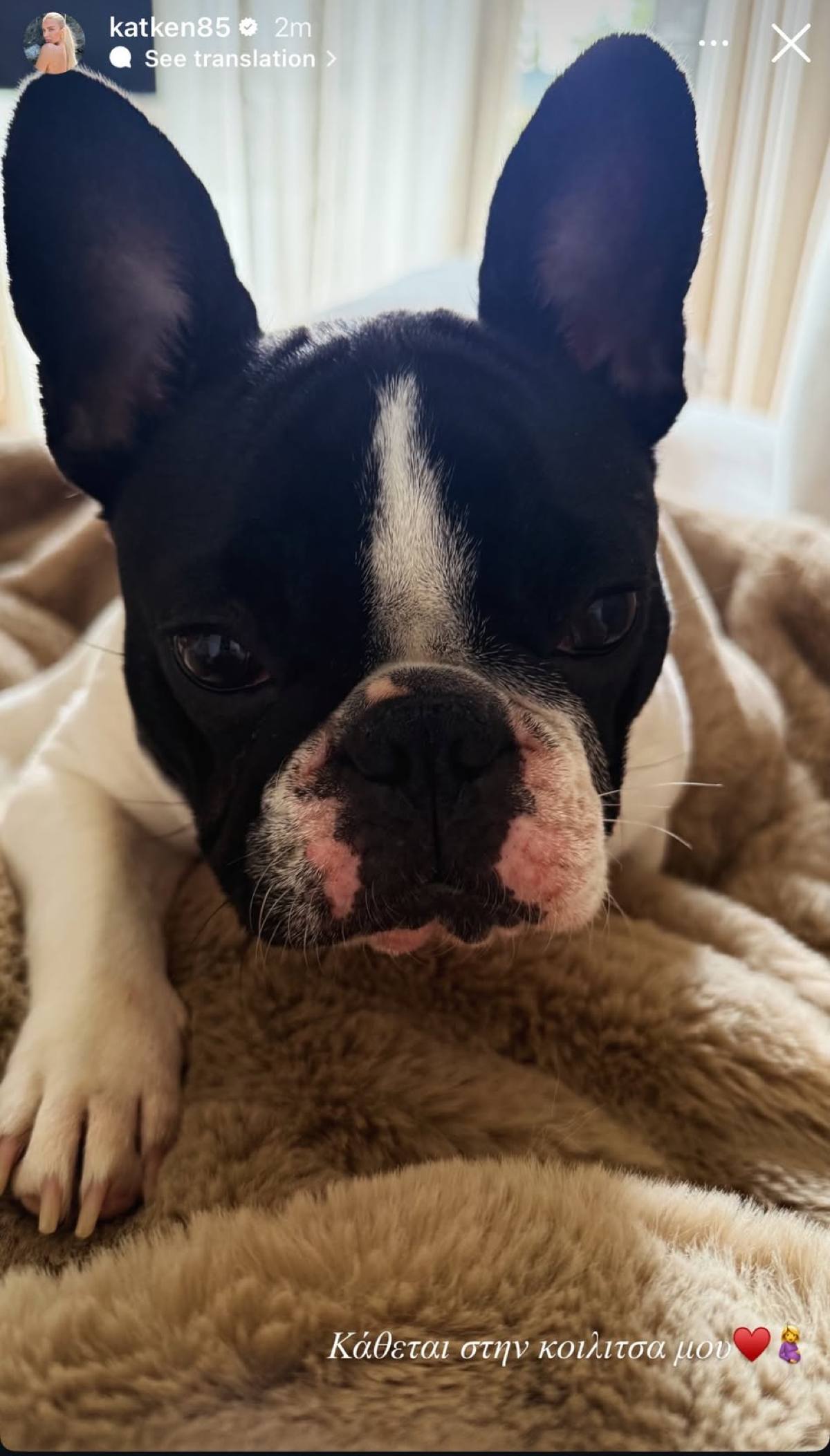 Η ανάρτηση της Κατερίνας Καινούργιου