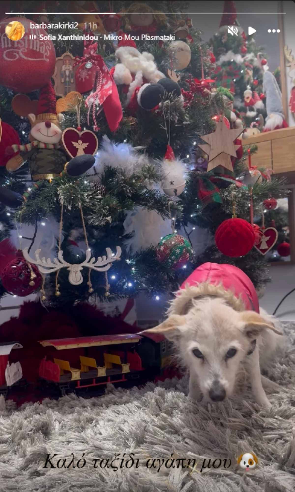 Η ανάρτηση της Βαρβάρας Κίρκη για τον θάνατο του σκύλου της