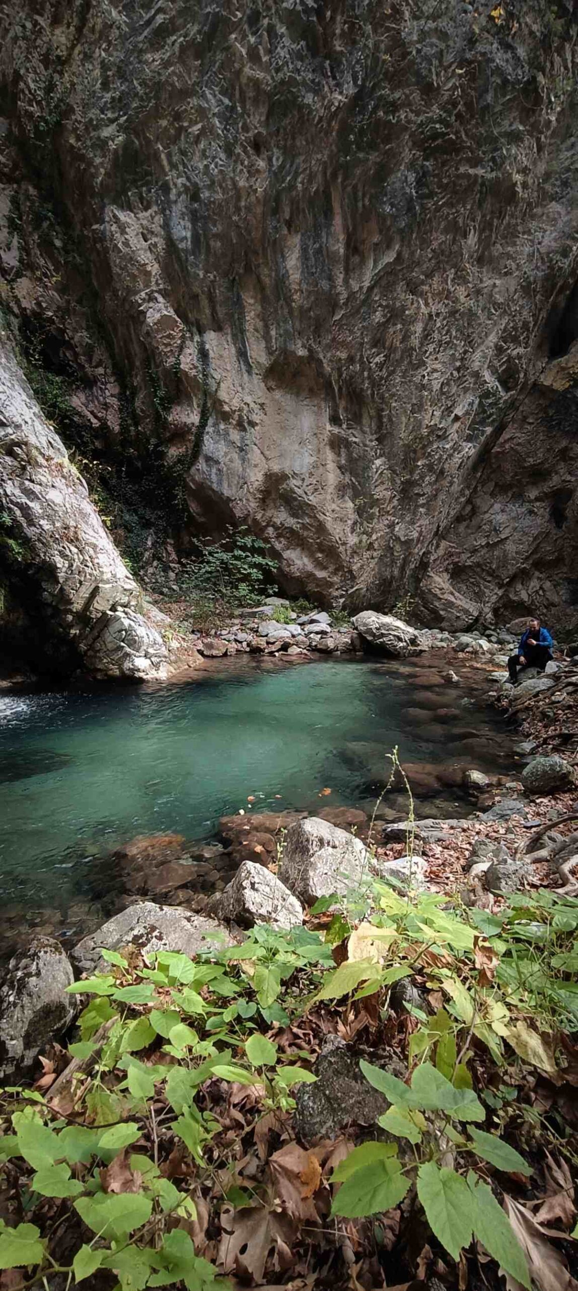 Κουνουπίτσα