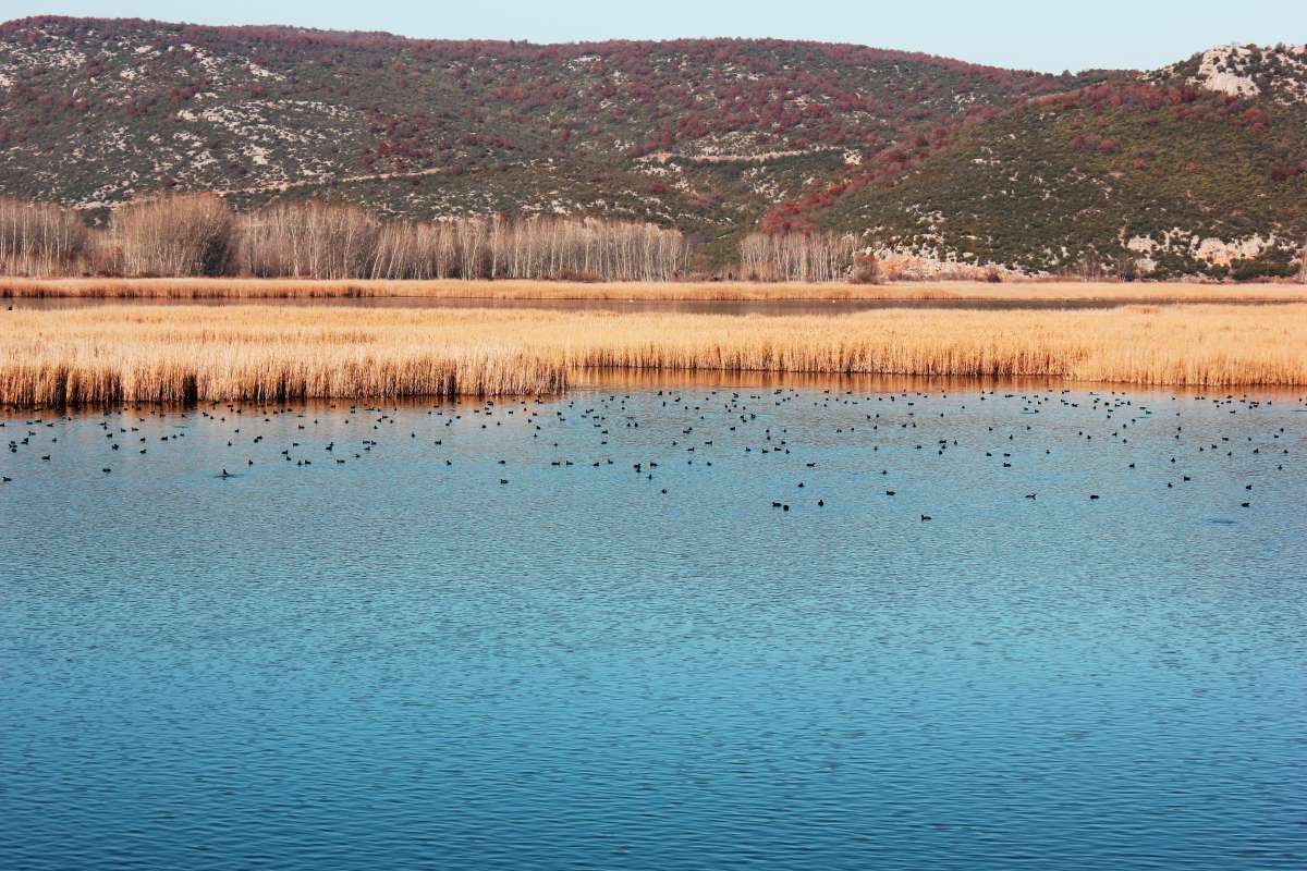 Λίμνη Άγρα Πέλλα