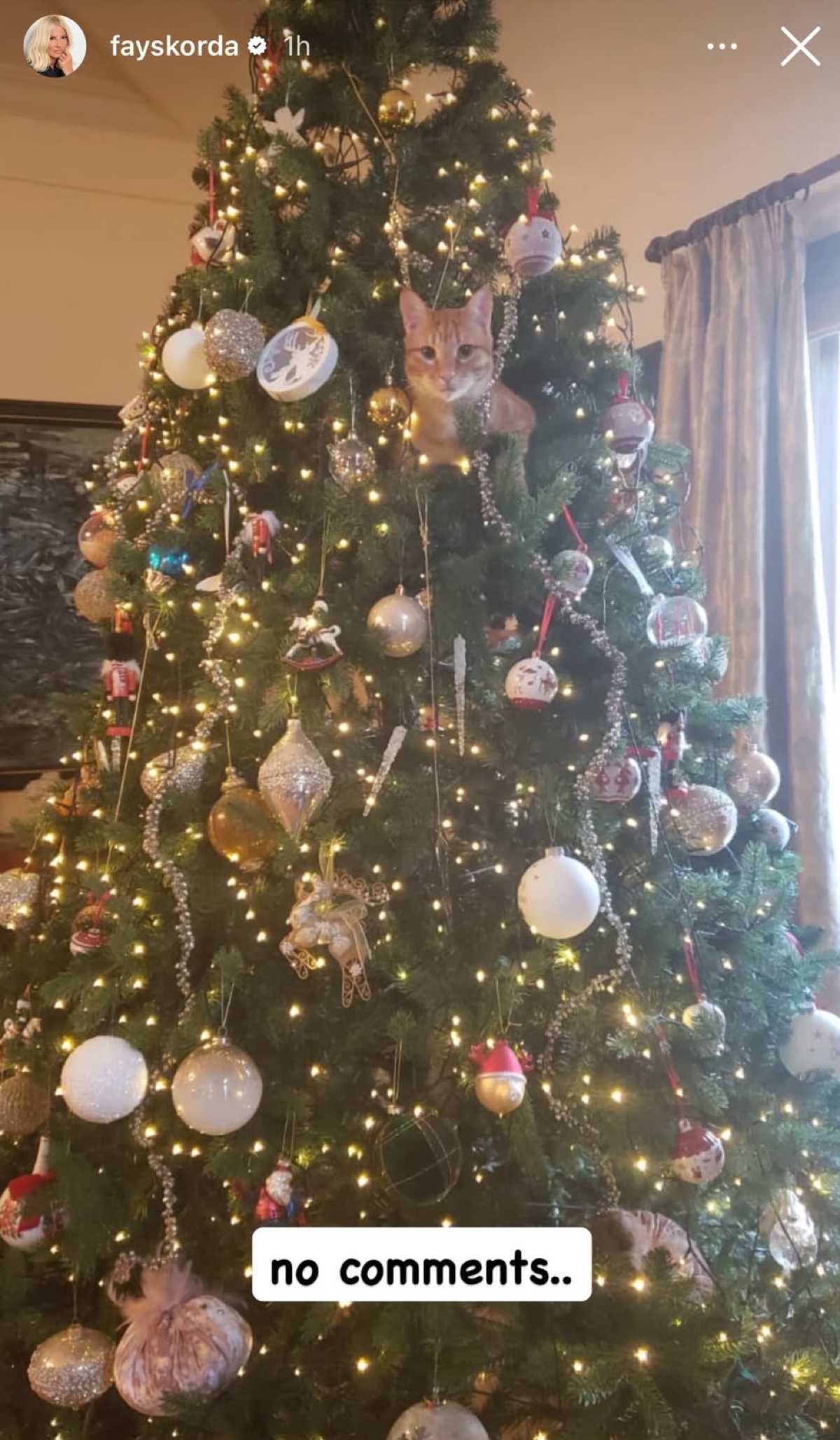 Το χριστουγεννιάτικο δέντρο της Φαίης Σκορδά