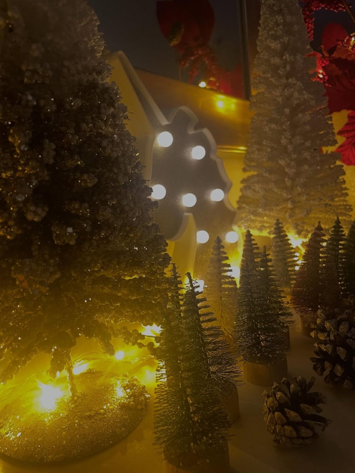 Το στολισμένο σπίτι της Ρούλας Κορομηλά