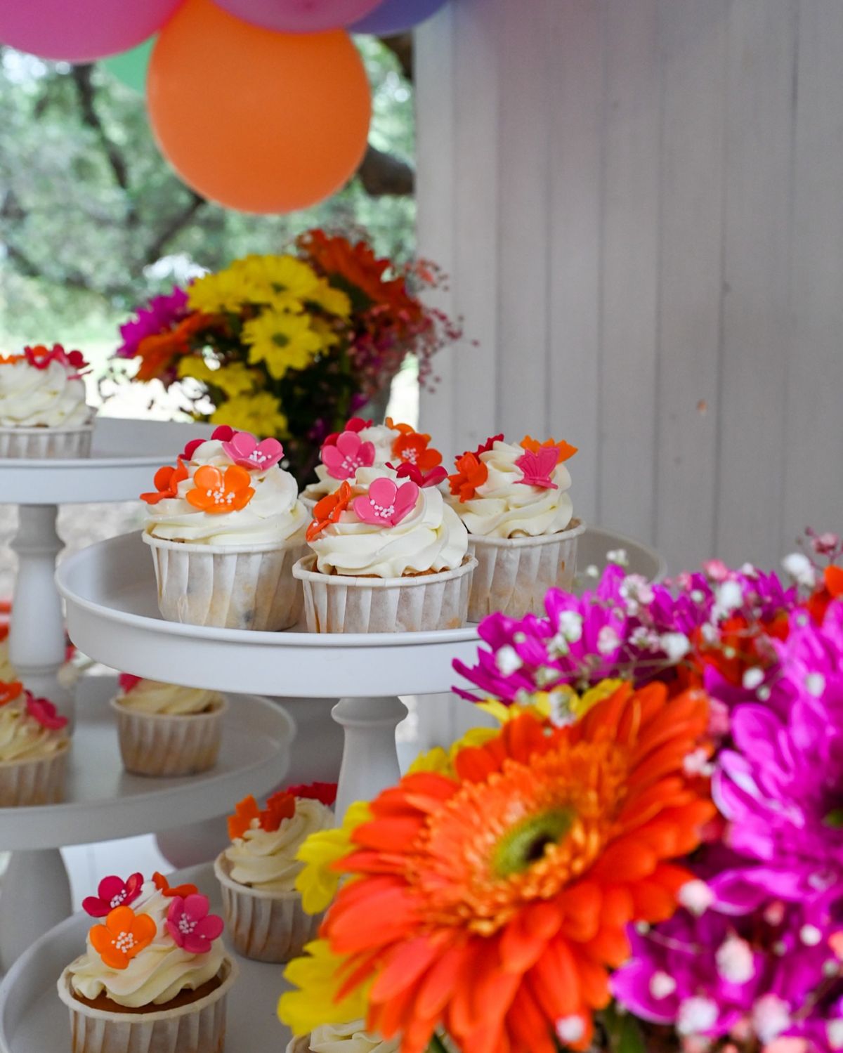 Grande Milonas: Χριστούγεννα στην Πάτρα με την πιο γλυκιά υπογραφή