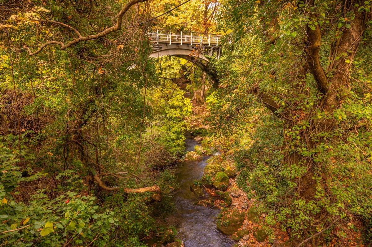 Φαράγγι Βουραϊκού