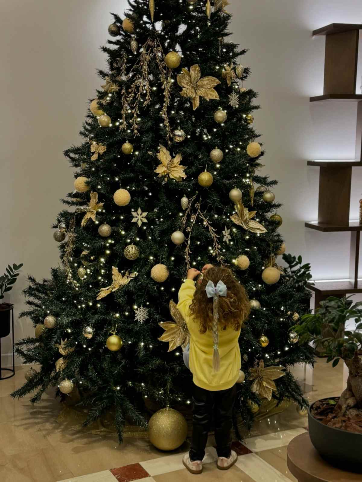 Η κόρη της Ιωάννας Μαλέσκου