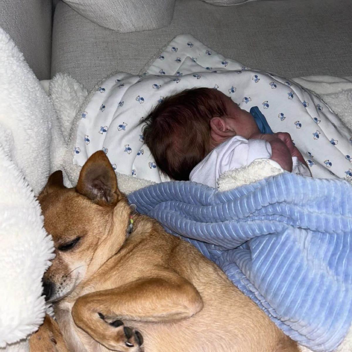 Η ανασκόπηση που έκανε η Ευρυδίκη Παπαδοπούλου